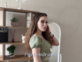 Felicedrover