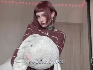 Felixwinter