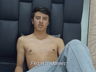 Fermindamer