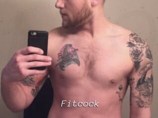 fitcock Tel 69 Salopes
