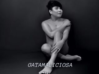 GATAMALICIOSA