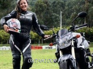 GATAMIDORIXX
