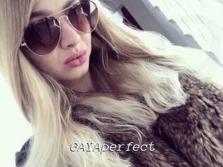 GAYAperfect