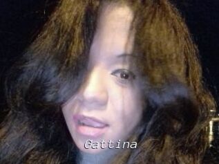 Gattina