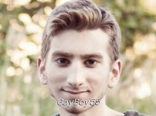 GayBoy55