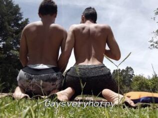 Gaysveryhorny