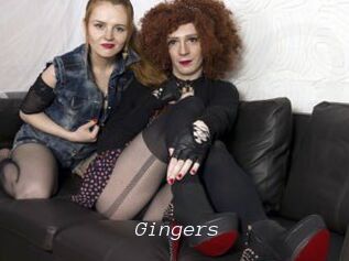 Gingers Tel 69 Salopes