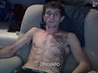 Gnomeo