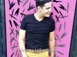 GonzaloNarvaes