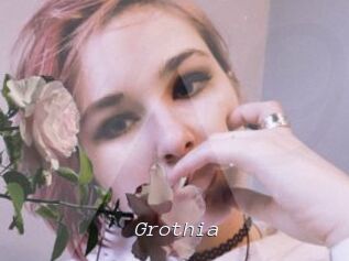 Grothia