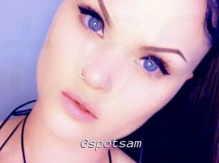 Gspotsam