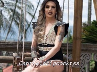 Gabrielabigcocktss