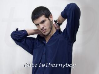 Gabrielhornyboy