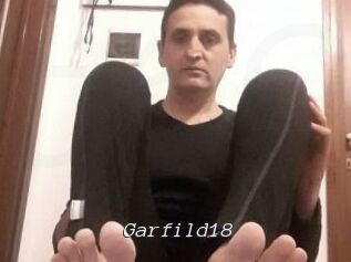 Garfild18