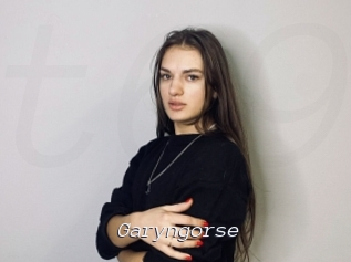 Garyngorse