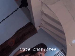 Gate_charlotee