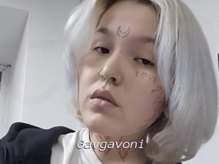 Gavgavoni