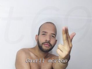 Gavril_morton