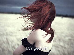 Gingercat
