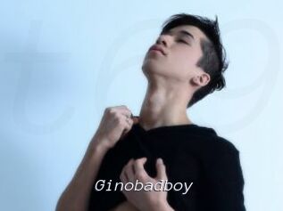 Ginobadboy