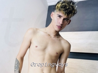 Gropingvoys