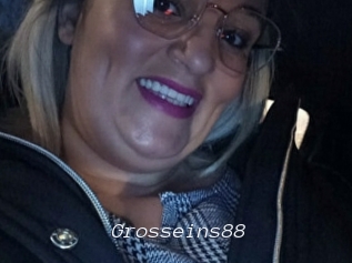 Grosseins88
