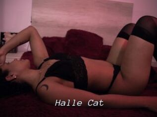 Halle_Cat