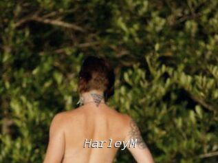 HarleyM