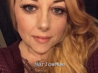Harlow_Mae