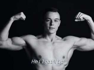 HeilgarVip