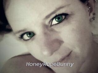 HoneyRopeBunny