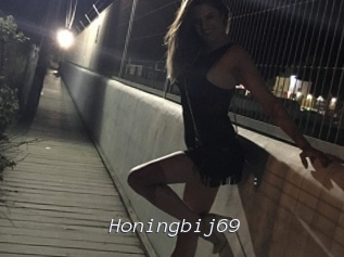 Honingbij69