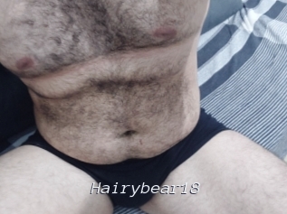 Hairybear18