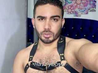 hairyboyx Tel 69 Salopes