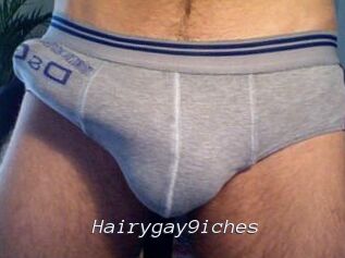 Hairygay9iches