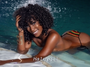 Haleygil