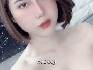 Halucy