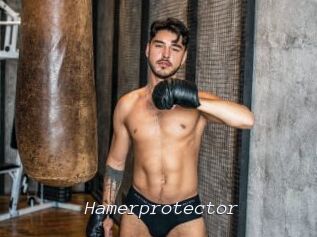 Hamerprotector