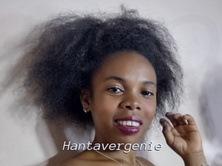 hantavergenie Tel 69 Salopes