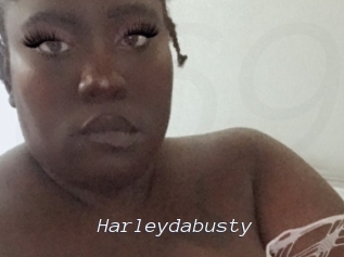 harleydabusty Tel 69 Salopes
