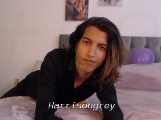Harrisongrey