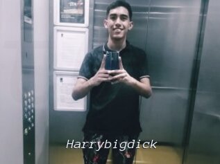Harrybigdick