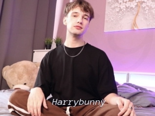 Harrybunny