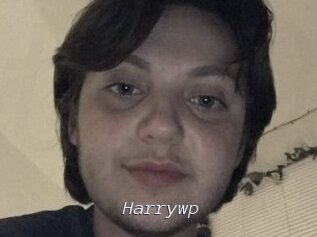Harrywp