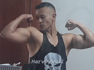 Harveywull