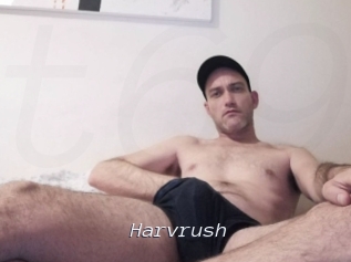 harvrush Tel 69 Salopes