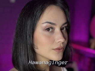 Hawanaginger