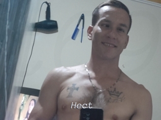 Hect