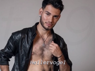 Heilervogel
