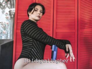 Hildagallagher